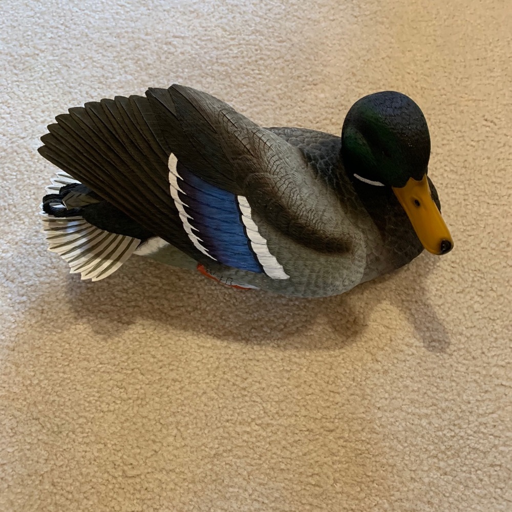 Ducks Unlimited